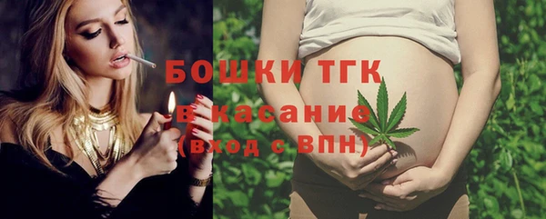 прущие грибы Фурманов