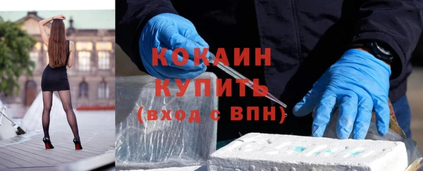 прущие грибы Фурманов