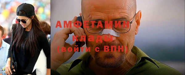прущие грибы Фурманов