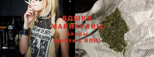 прущие грибы Фурманов