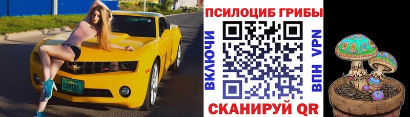 Псилоцибиновые грибы прущие грибы  omg вход  Полтавская  цена наркотик 