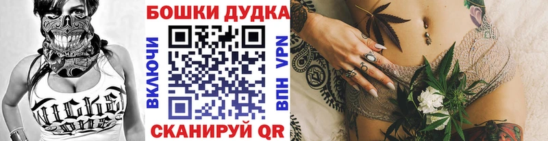 Марихуана семена  как найти наркотики  Полтавская 